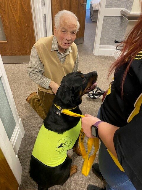 A Visit from Duke the Rottweiler!