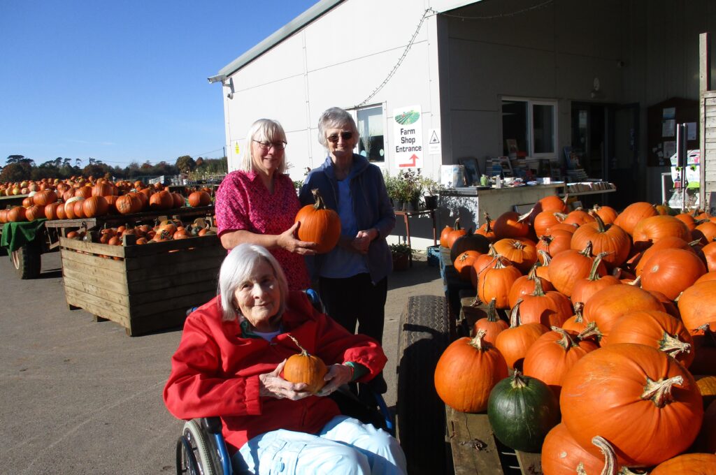 Pumpkin Picking